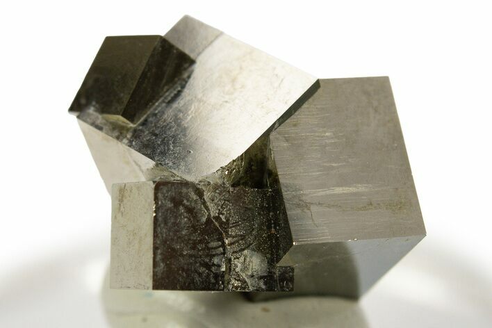 Shiny, Natural Pyrite Cube Cluster - Navajun, Spain #307039